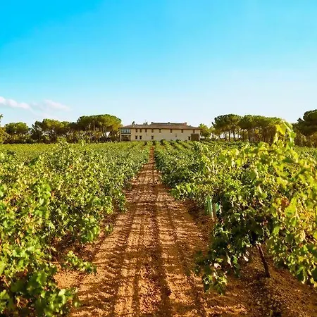 Chalet En Bodega La De Vitis Casas de Santa Cruz