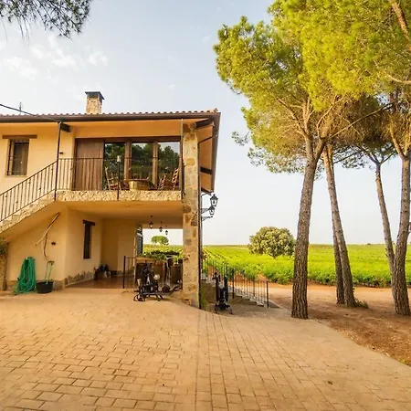 En Bodega La De Vitis Chalet